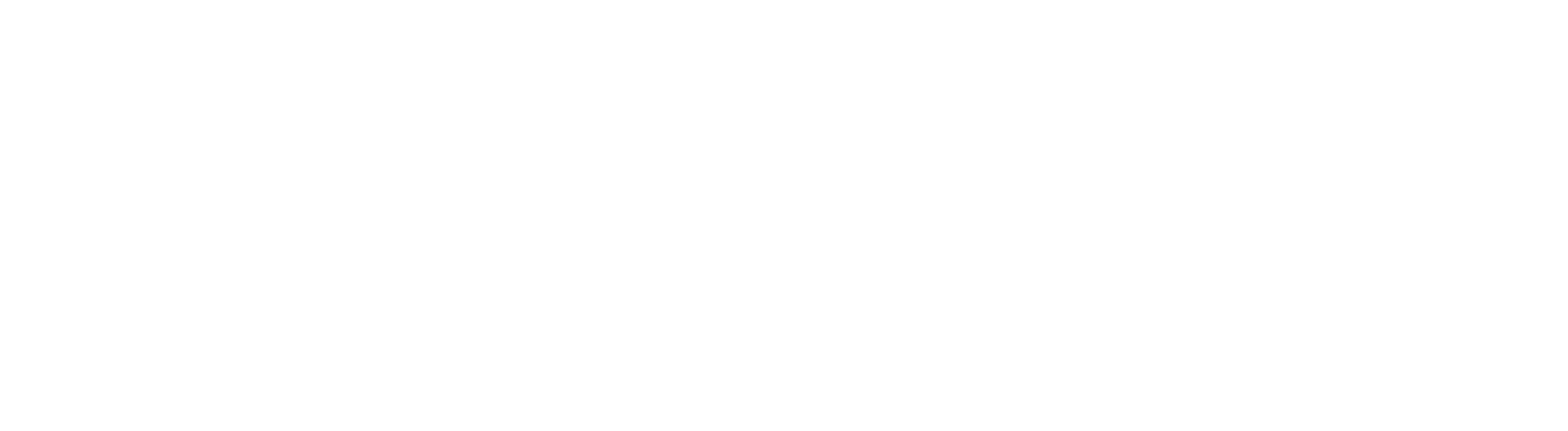 Logo (white, PNG)